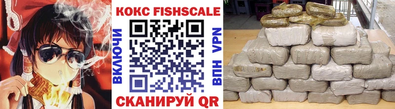 Кокаин FishScale  сколько стоит  Снежногорск 