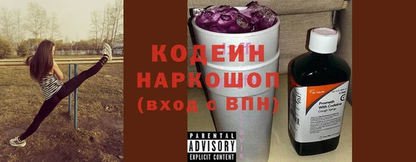 хмурый Нея