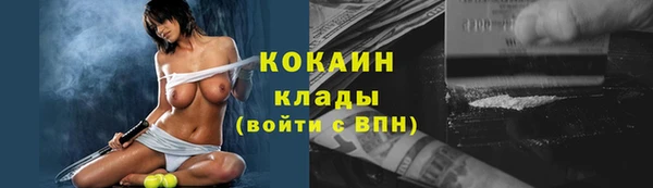шишки Нефтегорск