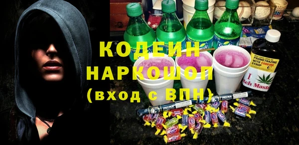 хмурый Нея