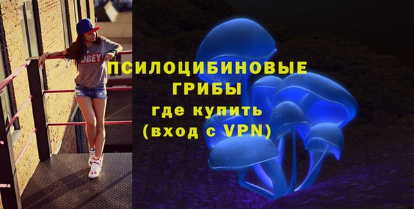 хмурый Нея