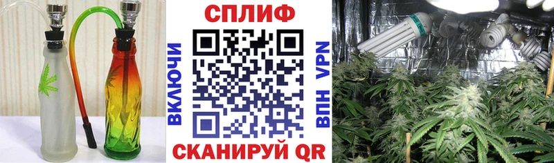 darknet телеграм  Снежногорск  Канабис SATIVA & INDICA  закладка  hydra рабочий сайт 